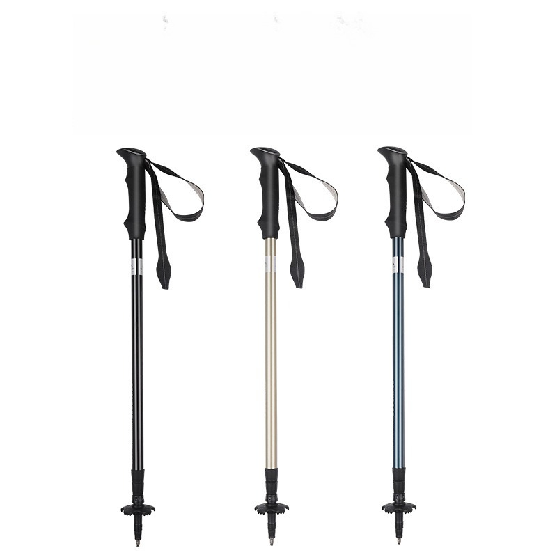 Trekking Pole Snap-fit Aluminu - огляд і ціна Trekking Pole Carbon
