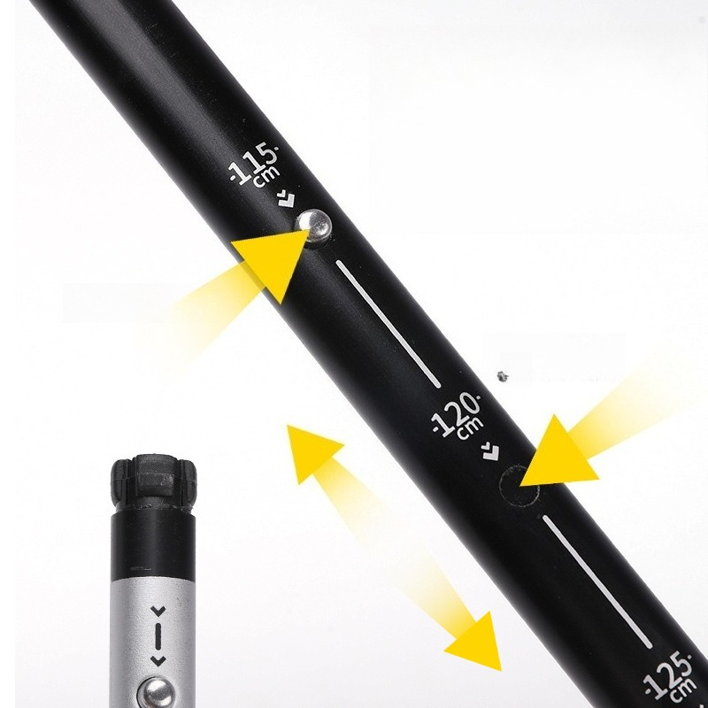 Trekking Pole Snap-fit Aluminu - огляд і ціна Trekking Pole Carbon